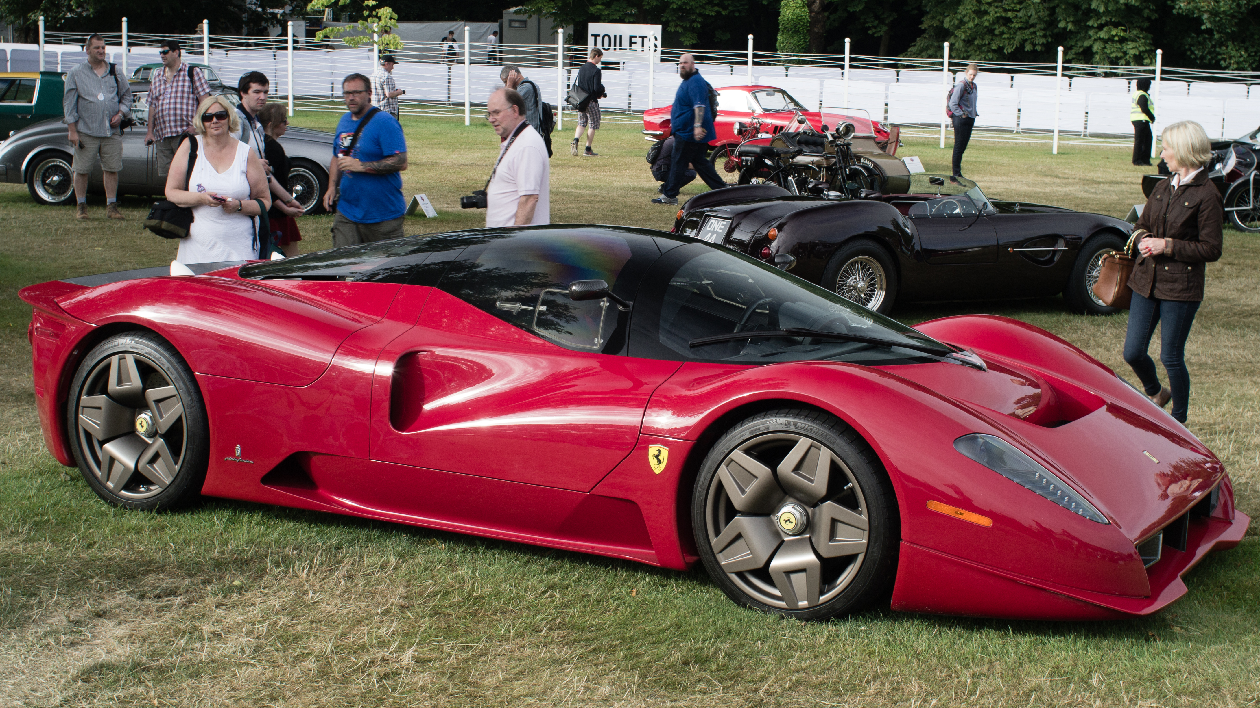 3. Precious Jewels on Four Wheels: The Striking Aesthetics of Rare Supercars