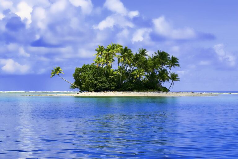 Are There Private Islands with Self-Sustaining Ecosystems