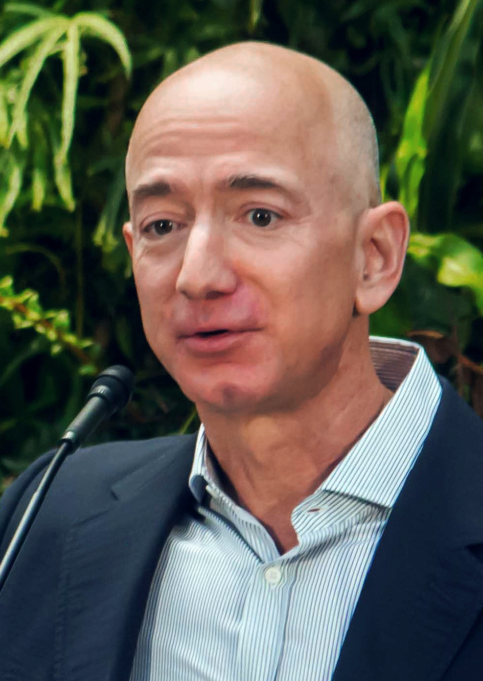 Drawing a Course: Recommendations for Jeff Bezos' Potential Yacht Ownership