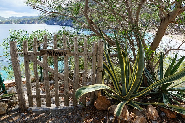 Factors to Consider: Finding the Perfect Private Island with Abundant Flora