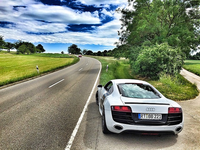 Final Verdict: Expert Recommendations for Choosing Between the R8 and Lamborghini