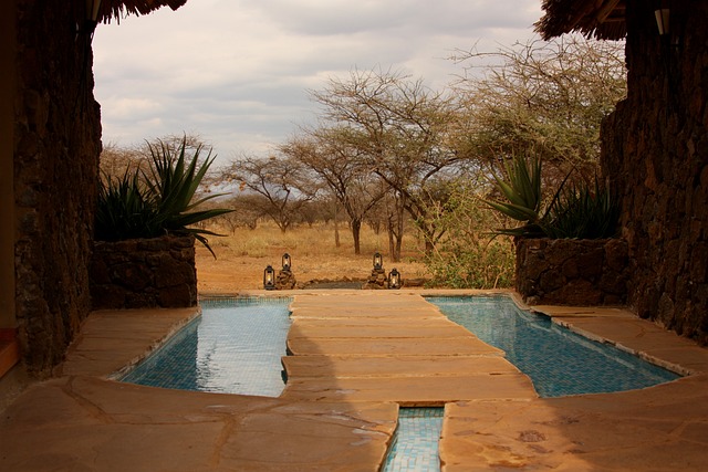 - Immerse Yourself in Unparalleled Luxury: Unveiling the Hidden Gems of Safari Lodges and Camps