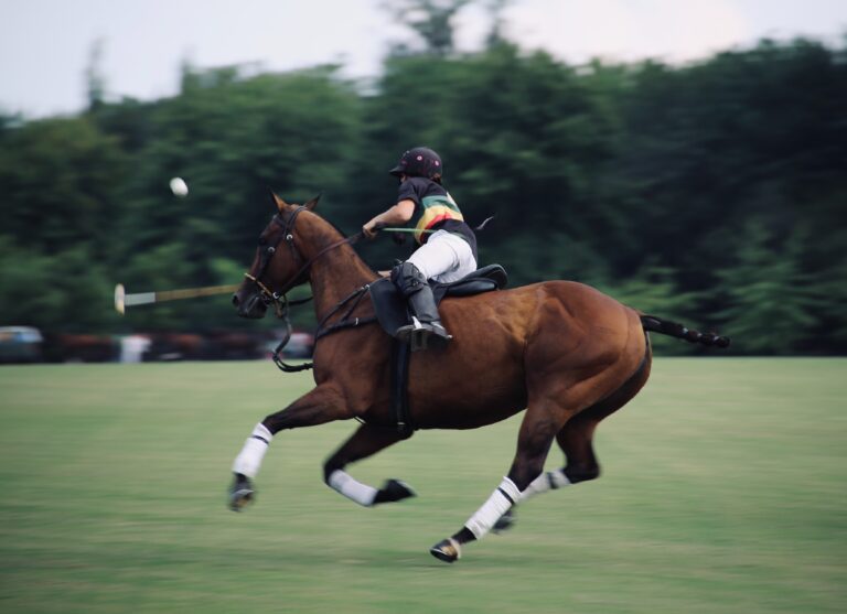 The Most Luxurious and Prestigious Polo Clubs and Events