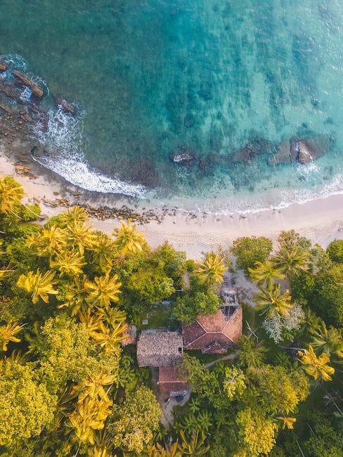 Boutique Luxury Retreats: Experiencing Exclusivity on Private Islands in the South Pacific