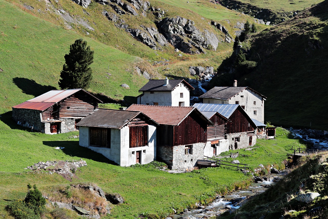 How Can I Get Professional Assistance in Buying Luxury Swiss Chalets