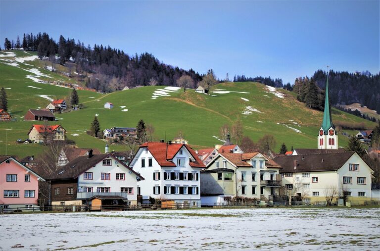 What Types of Properties Are Considered Luxury in Switzerland