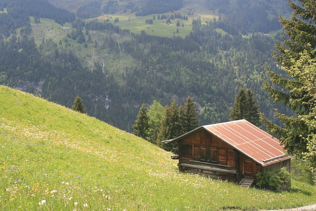 Escape to Serenity with Charming Chalets in Gstaad