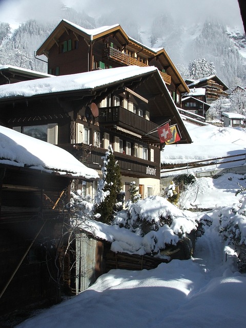 Explore Outdoor Adventures and Unwind in Cozy Chalets in Jungfrau Region